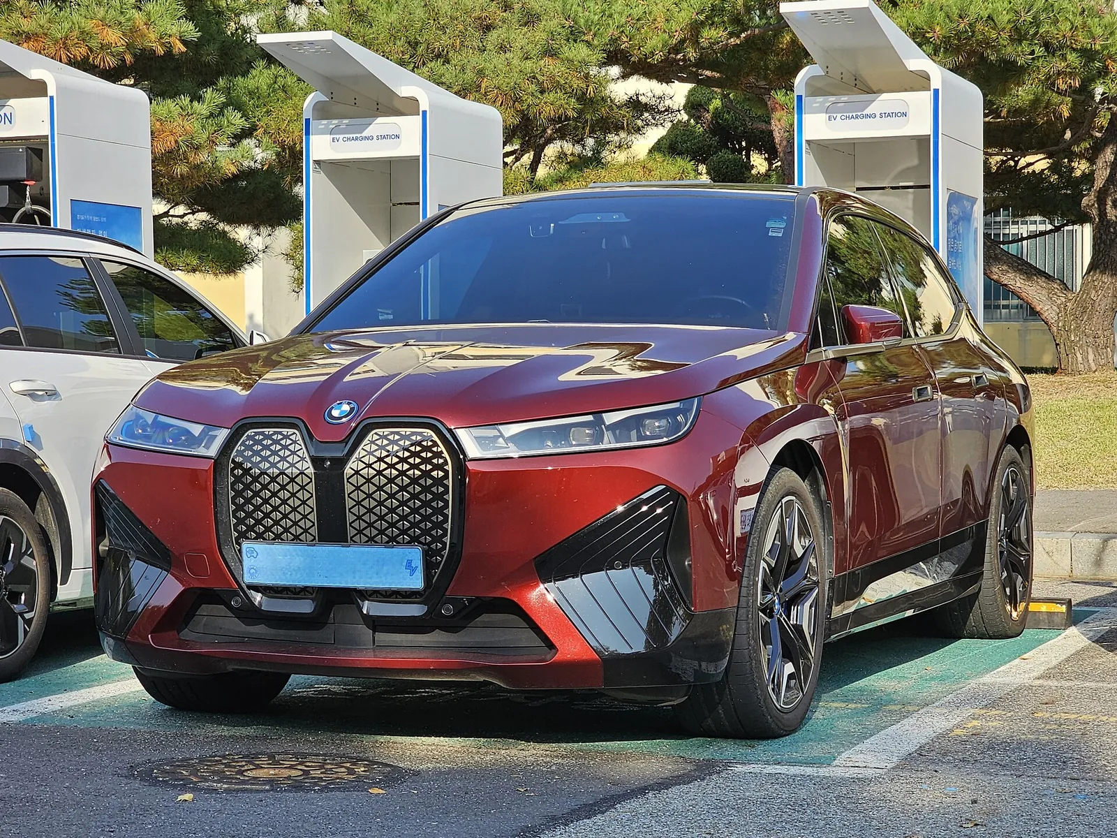 BMW iX documented exterior view