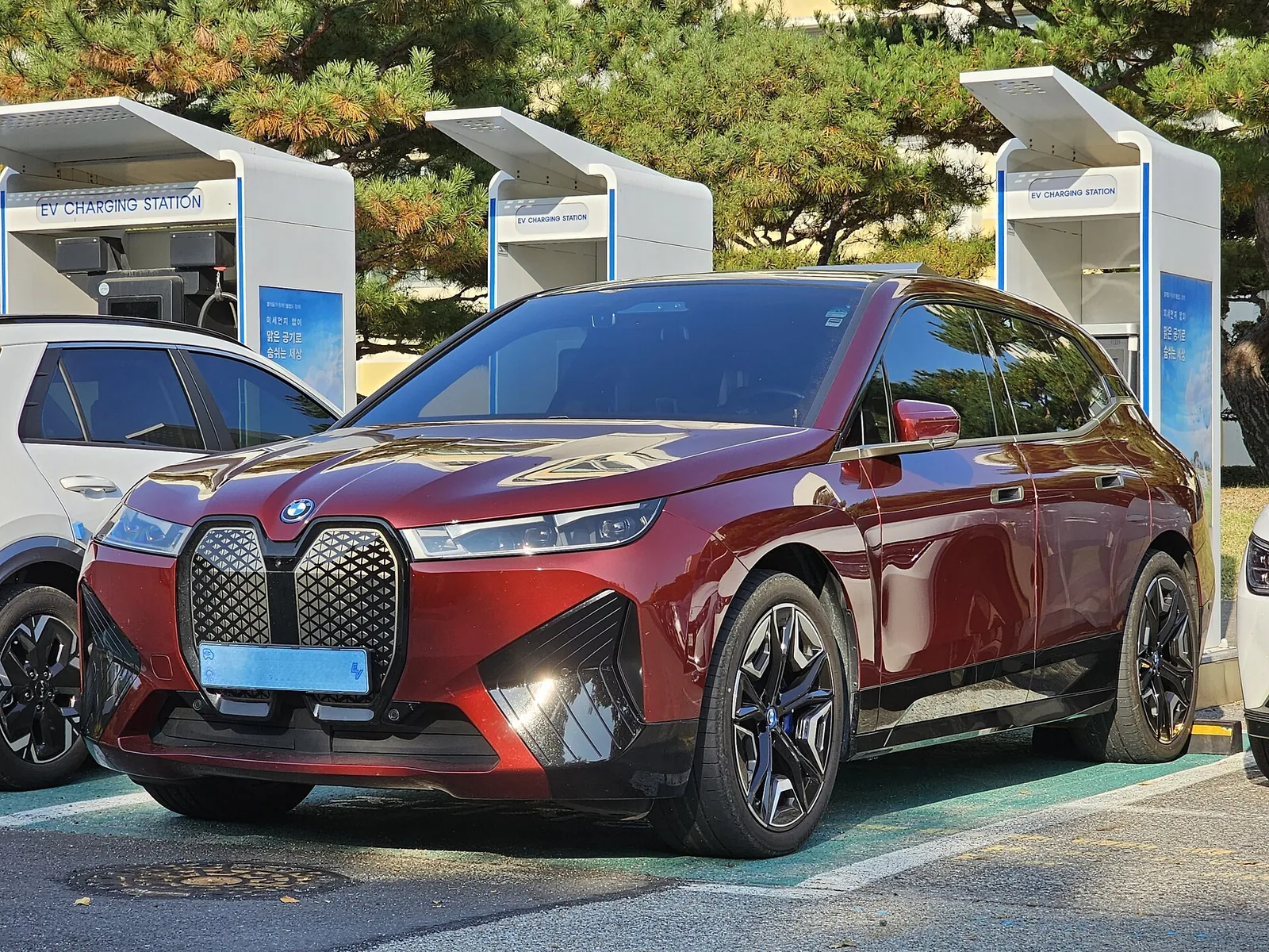 BMW iX documented exterior view