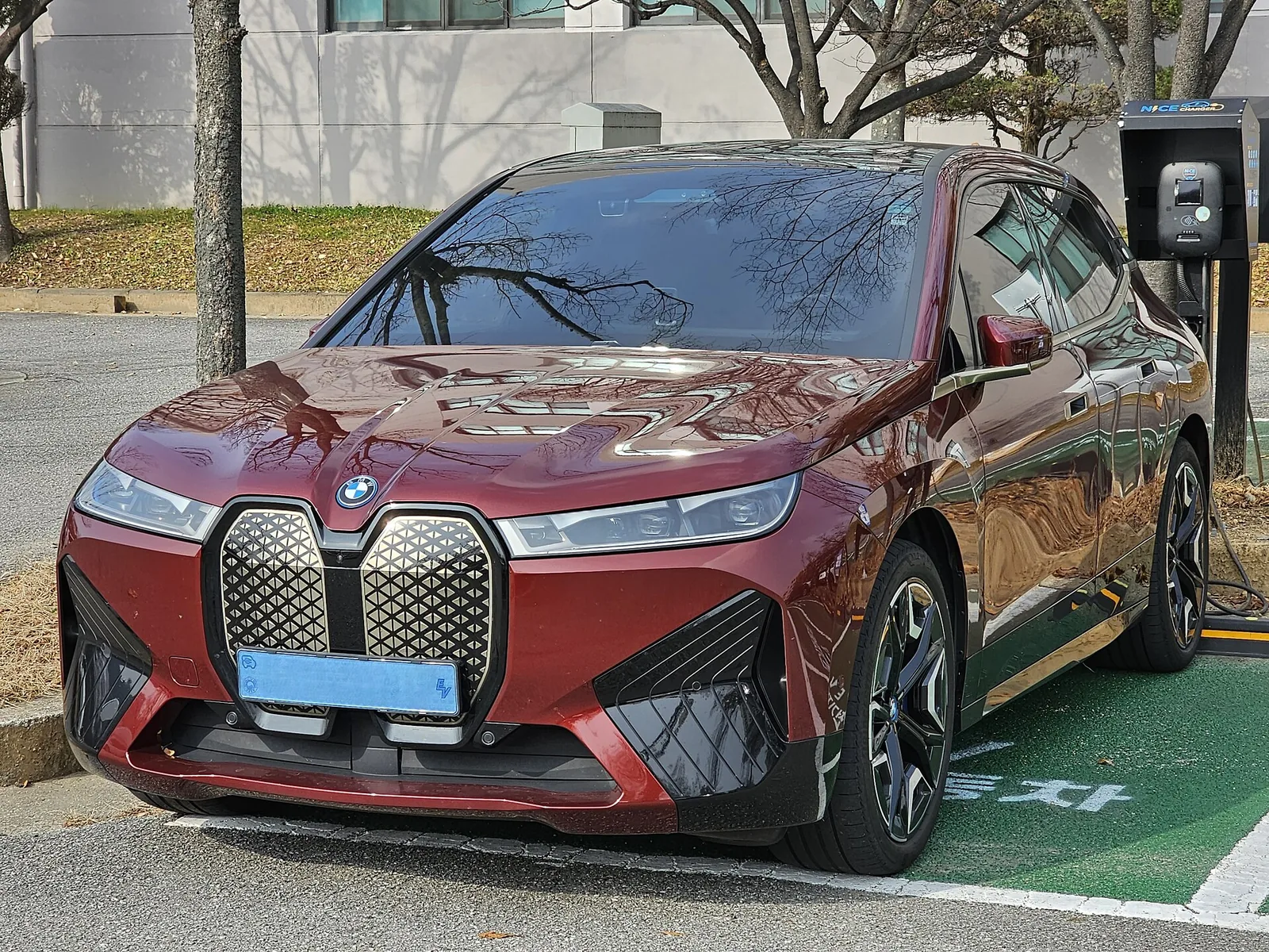 BMW iX documented exterior view