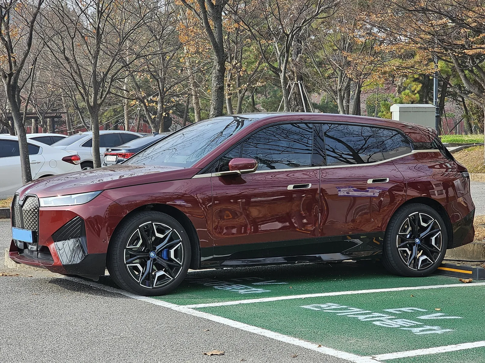BMW iX documented exterior view