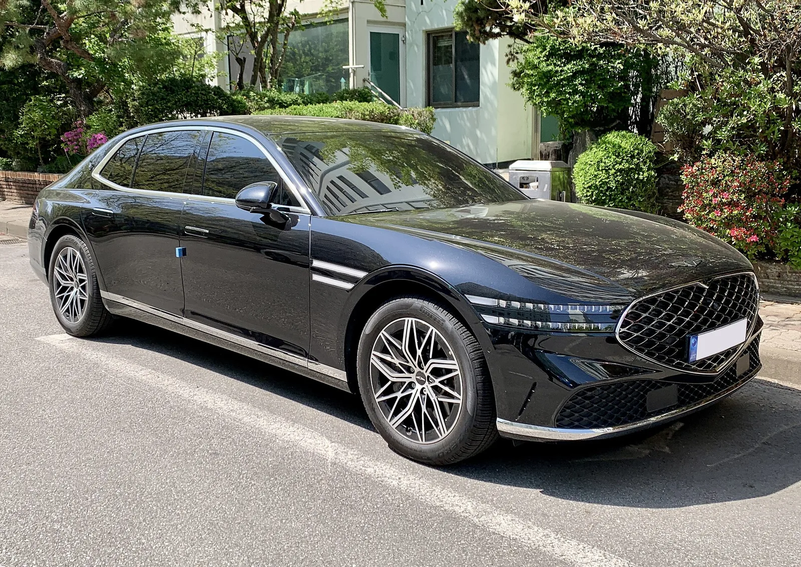 Genesis G90 documented exterior view