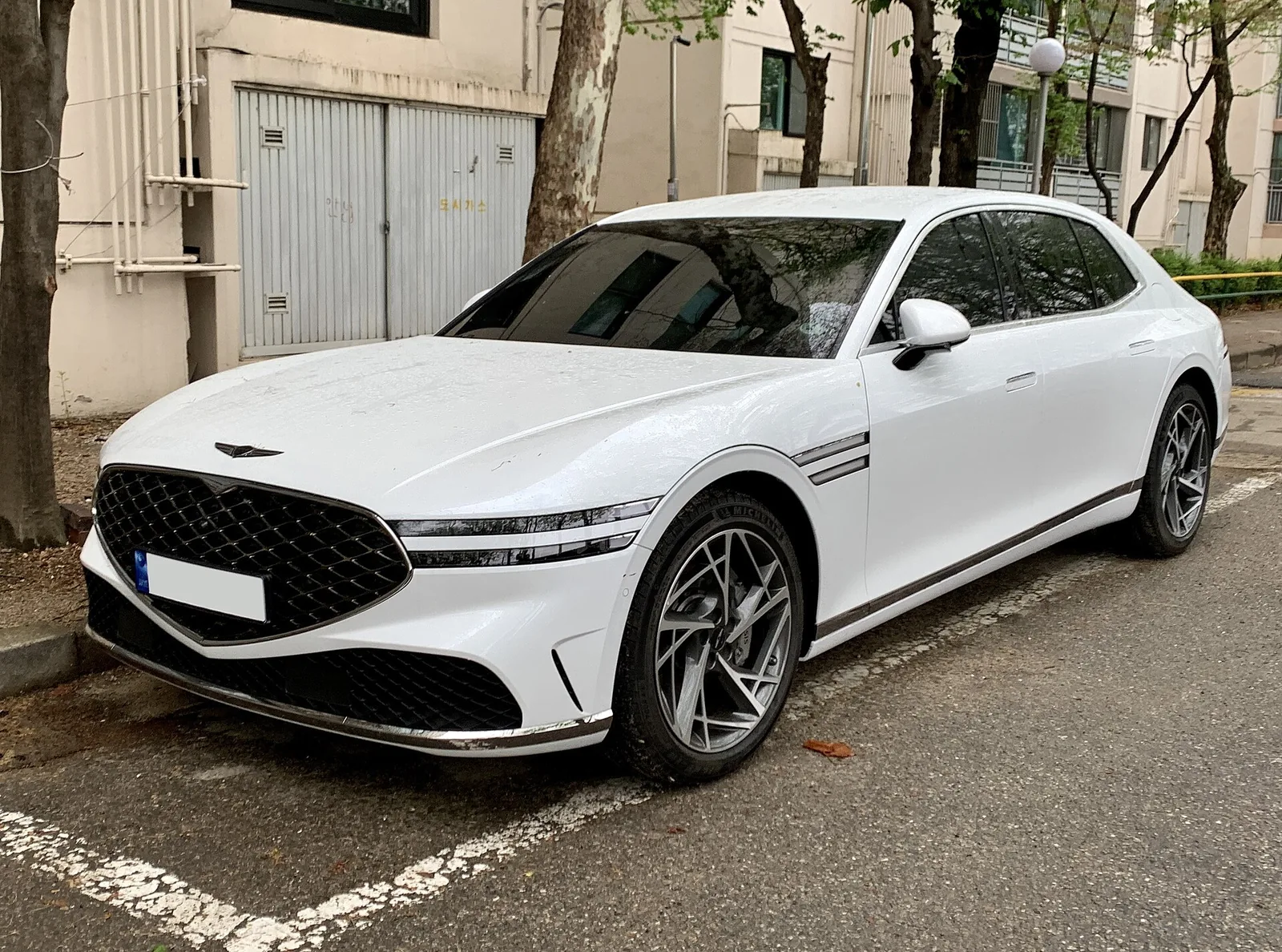 Genesis G90 documented exterior view