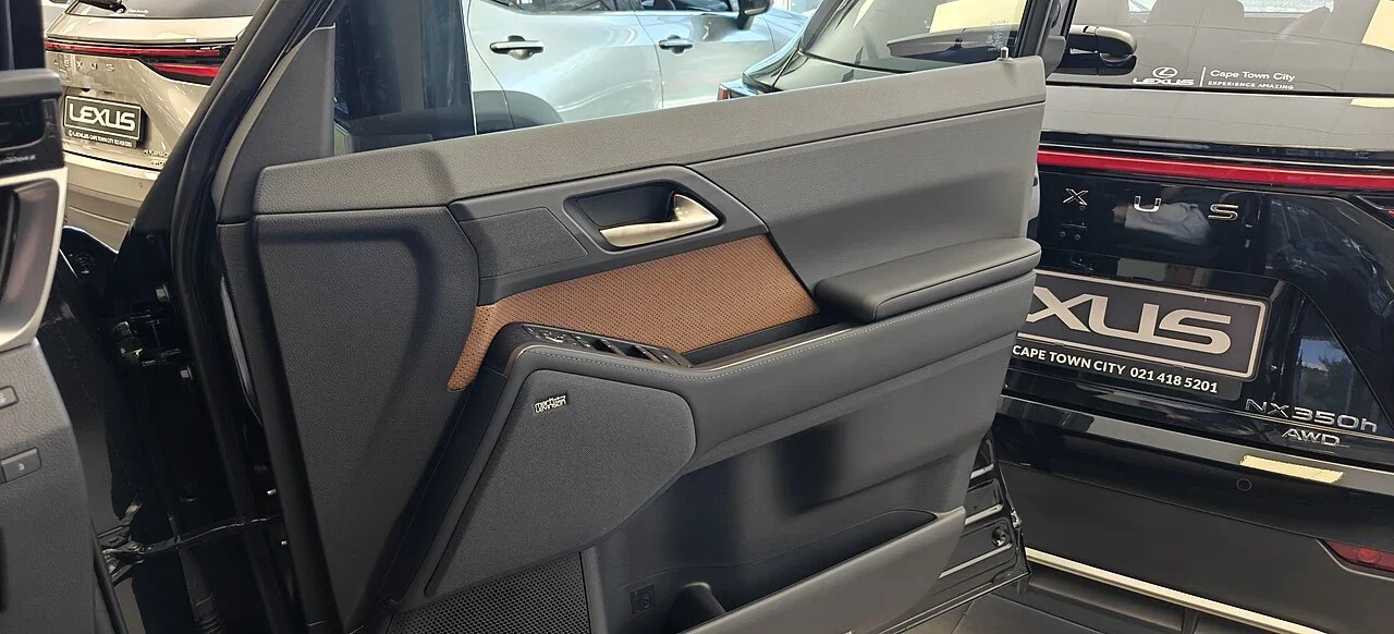 Lexus GX driver door trim and window switches