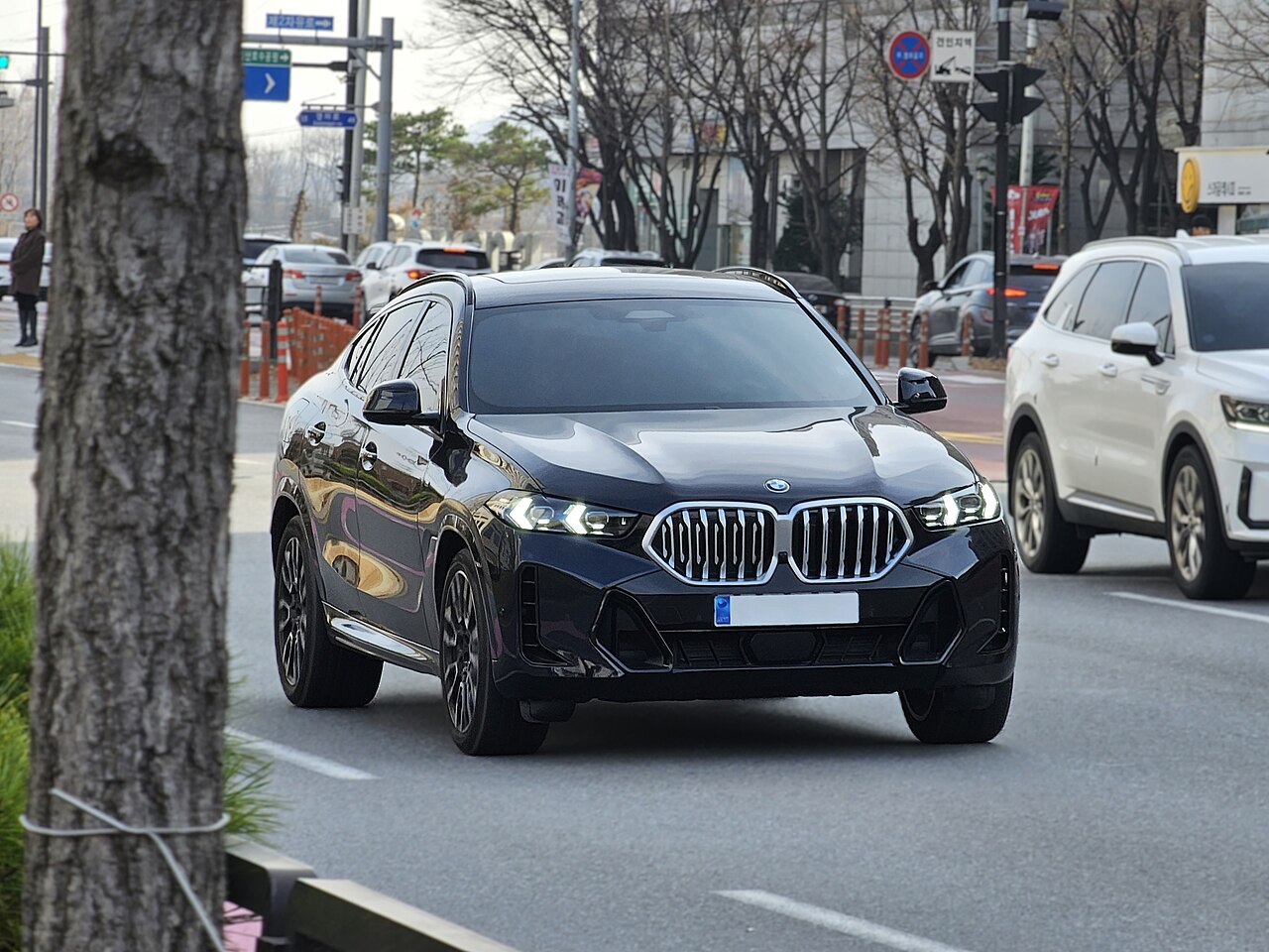 Dark BMW X6 xDrive40i G06 front on a road
